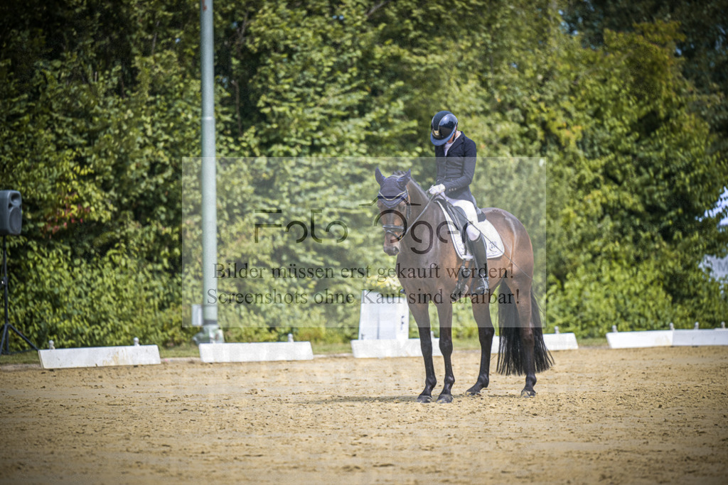 DOS_3125 | Entdecke hochwertige Reitturnierfotos von Foto Oger. Professionell, emotional und authentisch – jetzt Lieblingsmomente im Shop bestellen.Deutschlandweite Turnierfotografie. - Realisiert mit Pictrs.com