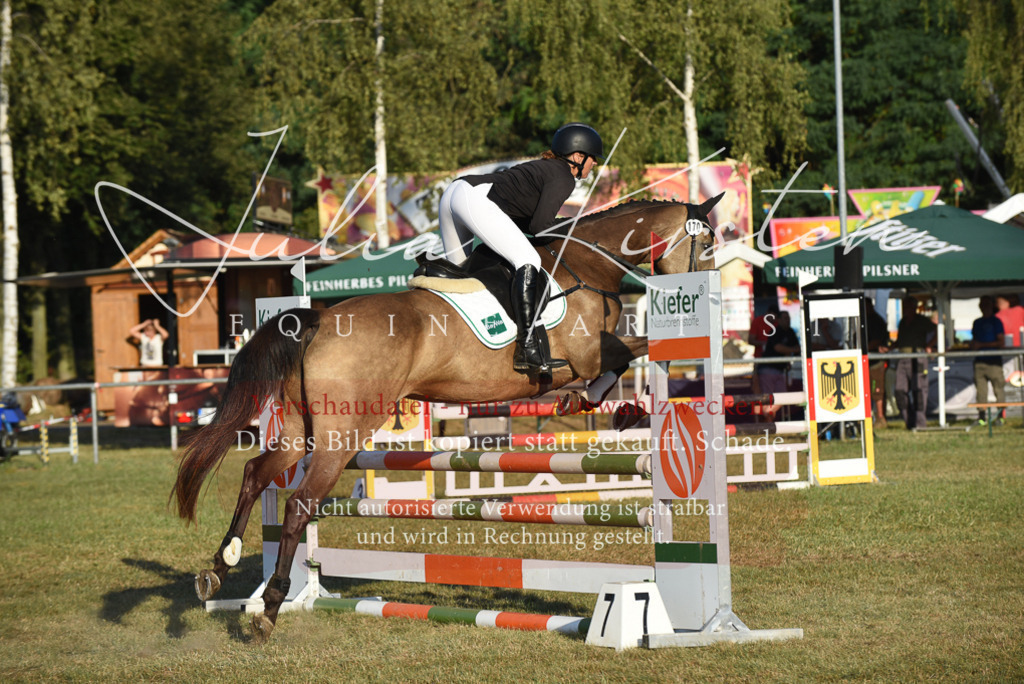 DSC_4832 | Pferde- und Turnierfotografie in Westsachsen. Pferdeportraits, Auftragszeichnungen und intuitive Kunst.