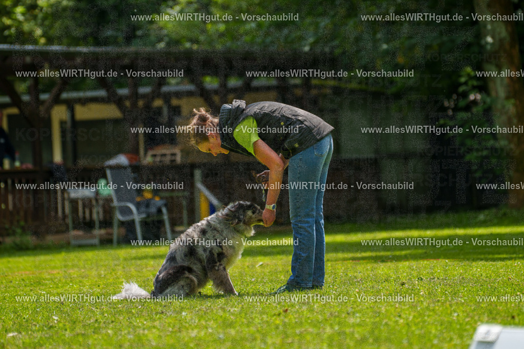 @allesWIRTHgut_Tierfotografie - www.allesWIRTHgut.de - 7R504833 | Professionelle Tierfotografie in Mönchengladbach von Daniel Wirth (allesWIRTHgut). Liebevolle & natürliche Bilder von Hunden & Katzen für unvergessliche Erinnerungen.