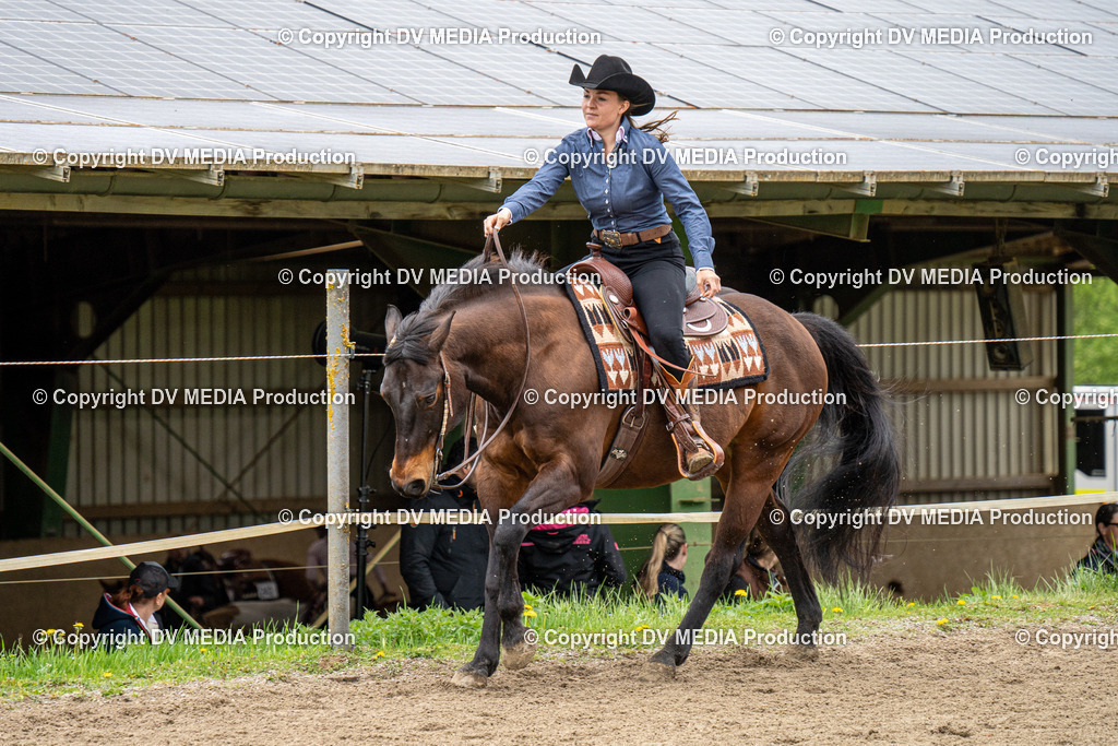 BAL00720 | dv-media-shop - Realisiert mit Pictrs.com