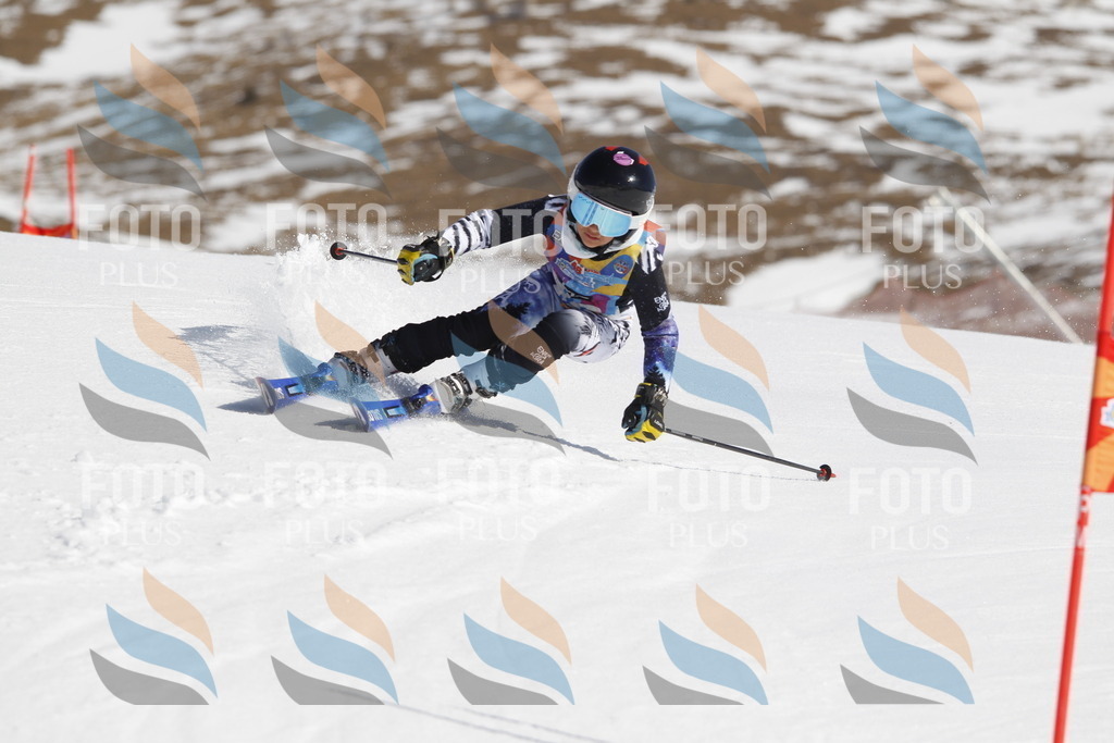 _U3G9169 | holidayphoto