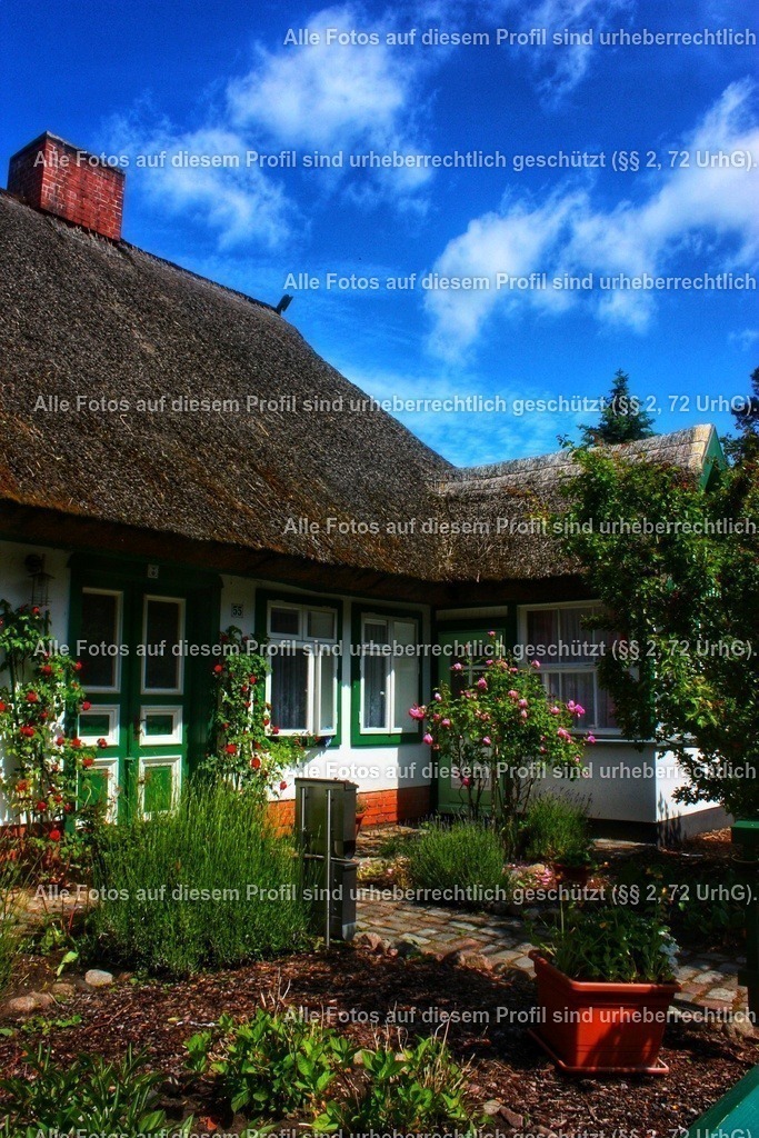 IMG_1081-01-01 | krollfotografie - Realisiert mit Pictrs.com