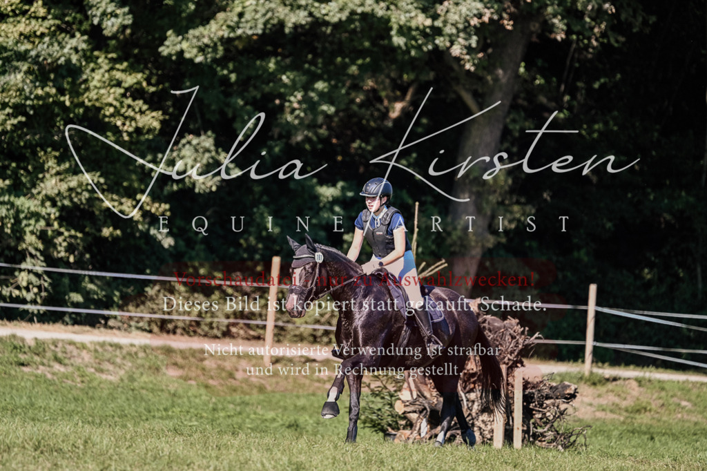 DSC_3570 | Pferde- und Turnierfotografie in Westsachsen. Pferdeportraits, Auftragszeichnungen und intuitive Kunst.