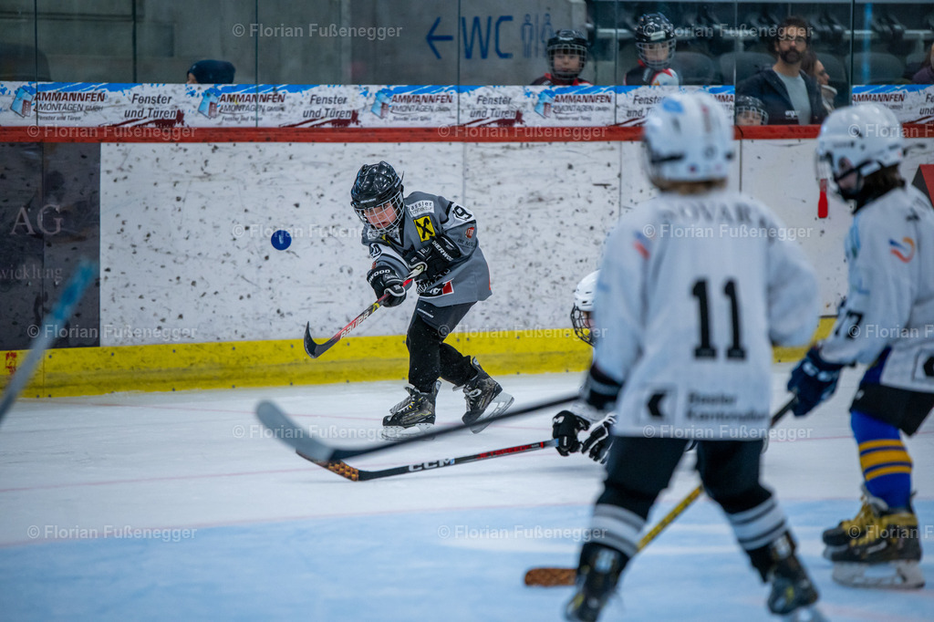 2025-03-01-Bärencup Wil-066 | "Fussifoto.com – Ihr Ansprechpartner für hochwertige Fotografie! Entdecken Sie kreative Bilder und professionelle Dienstleistungen. Kontaktieren Sie uns für Ihre Projekte!"