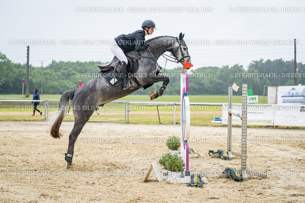 DSC01545 | Pferdegrafie