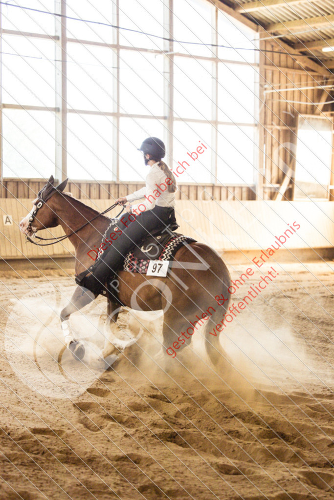 IMG_5014 | Sport-, Event- und Tierfotos in Profiqualität. Einfach auswählen, bestellen und herunterladen. Dein Moment – perfekt festgehalten.