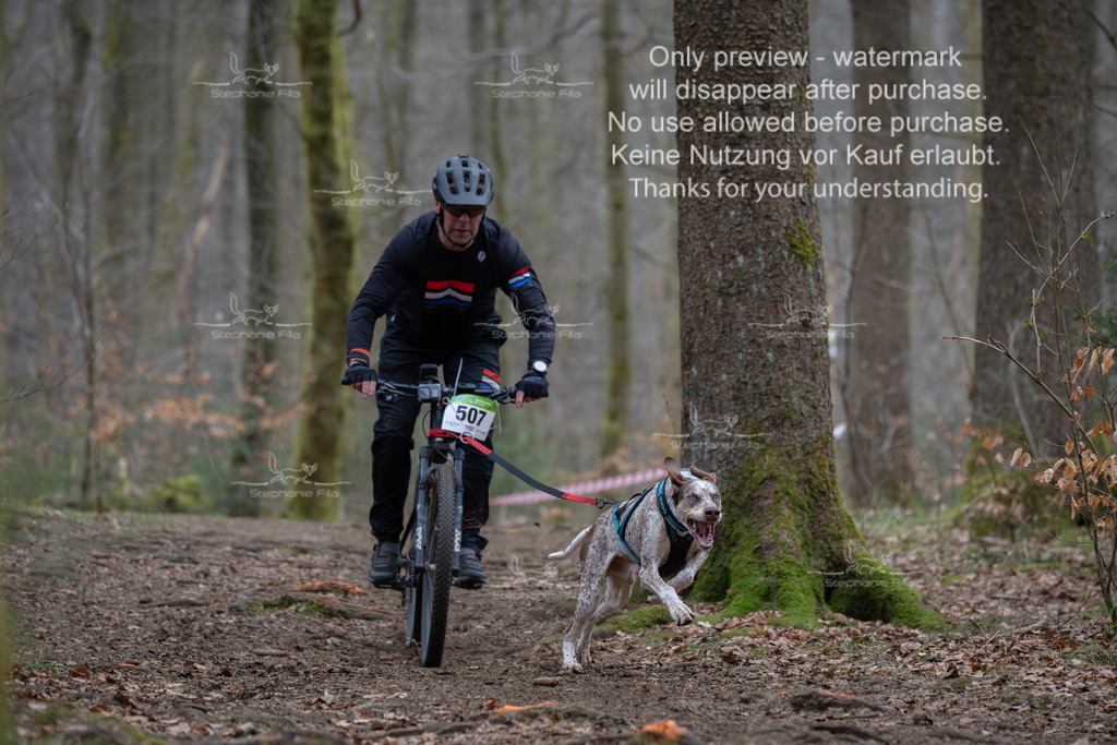 Bike_So-88 | stephaniefillaphotographie - Realisiert mit Pictrs.com