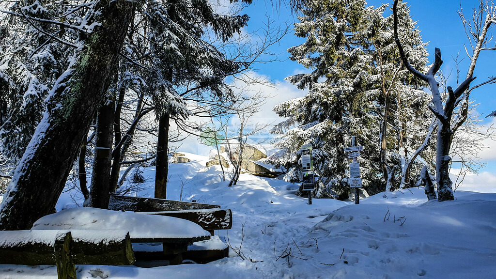 Platte Winter | Impressionen rund um Hochfranken - Frankenwald - Fichtelgebirge - Realisiert mit Pictrs.com
