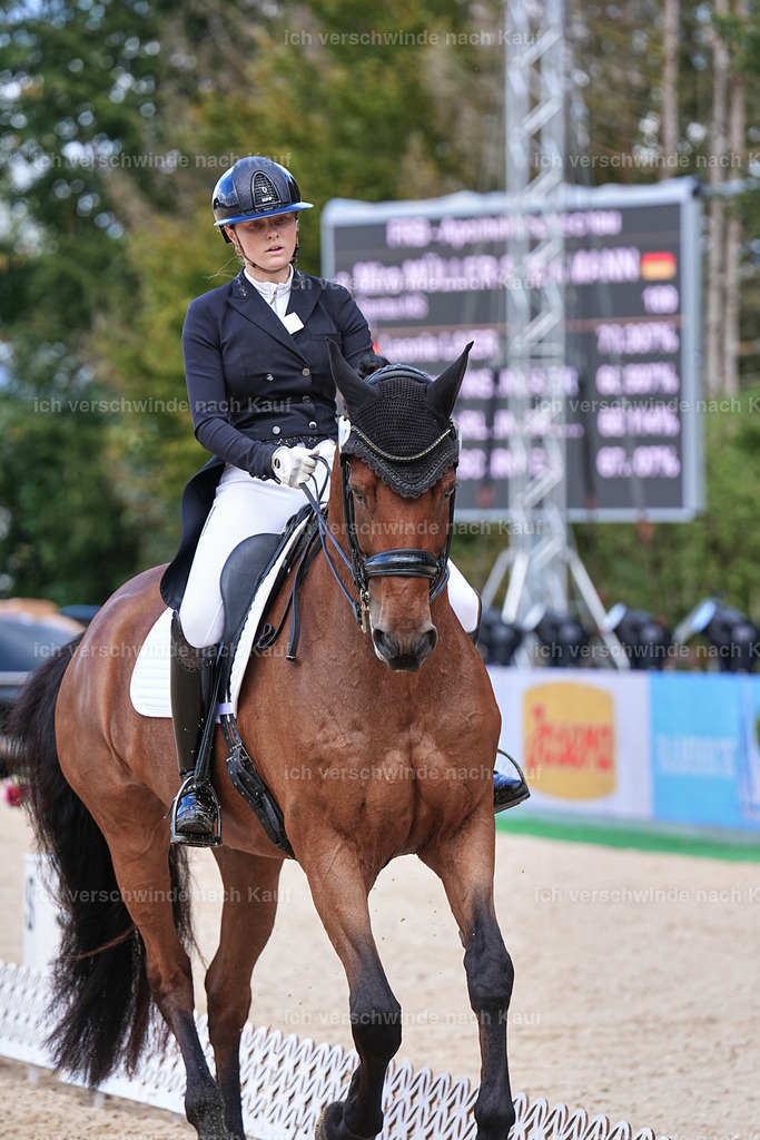 07-189-DRESSUR  S___  -Marixx-5158 | working equitationturnier fotograf videograf stoibphotography marixx film working equitation deutschland reitsport turnierfotografie eventfotografie equestrian events