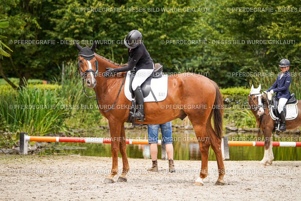 DSC04699 | Pferdegrafie