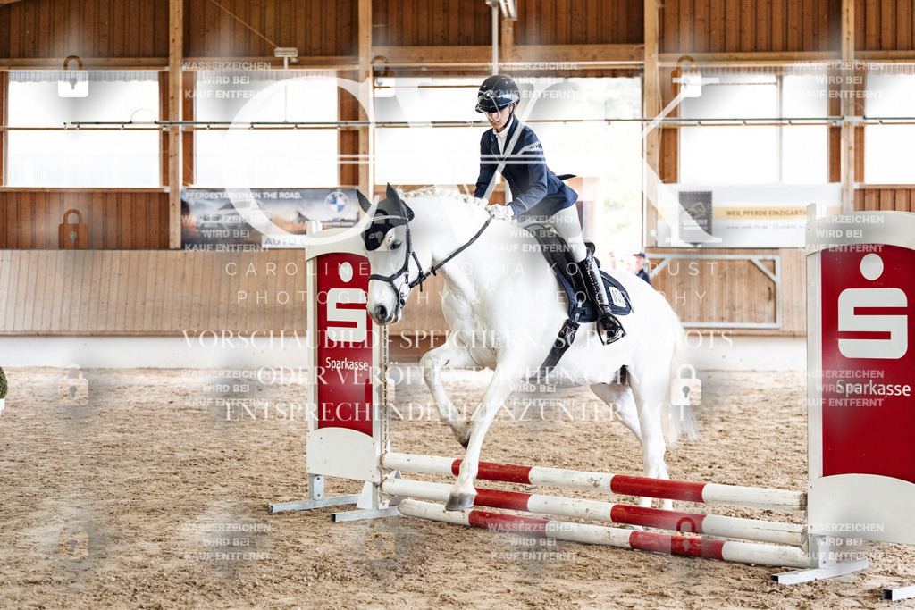 CK902727 | Turnierfotografie Pferdefotografie Trier Rheinland-Pfalz Pferdesport Reitsport Tierfotografie Sportfotografie Pferdevideo Pferdevideografie Equestrianvideography equestrianphotography  - Realisiert mit Pictrs.com