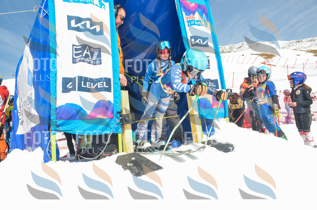 _ELE6459 | holidayphoto