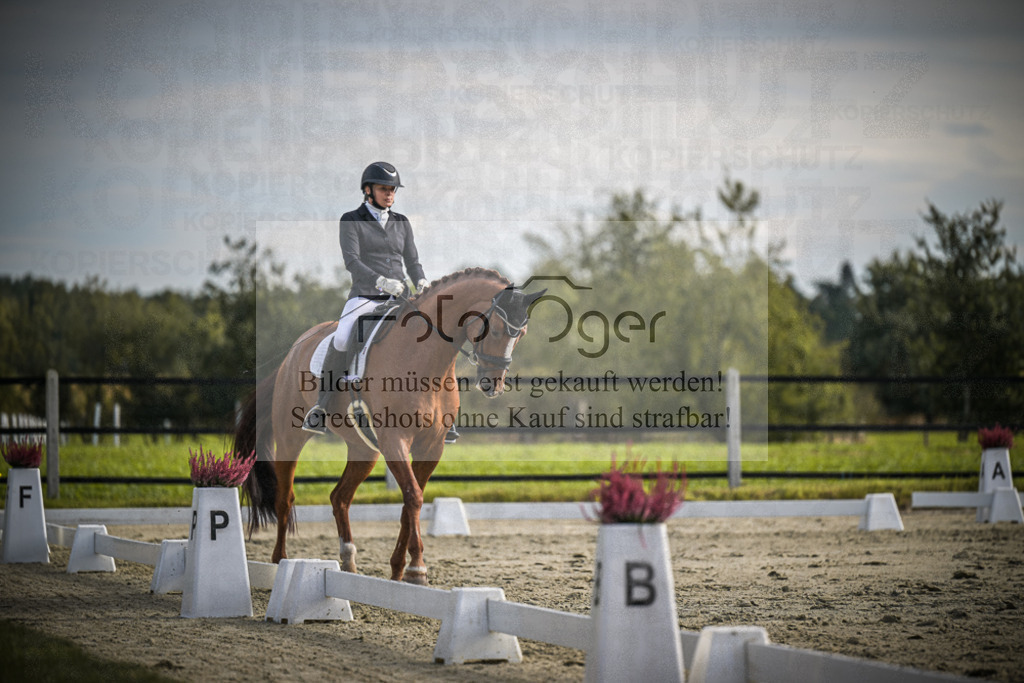 DOS_0940 | Entdecke hochwertige Reitturnierfotos von Foto Oger. Professionell, emotional und authentisch – jetzt Lieblingsmomente im Shop bestellen.Deutschlandweite Turnierfotografie. - Realisiert mit Pictrs.com