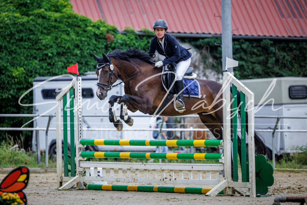 20260705-_3LI3627 | Tierfotografie Pferde, Hunde, Katzen, Haustiere.
Turnierfotografie Reitturniere, Reiten, Springreiten, Dressur in Hanau, dem Main-Kinzig-Kreis und dem Rhein-Main- Gebiet um Frankfurt