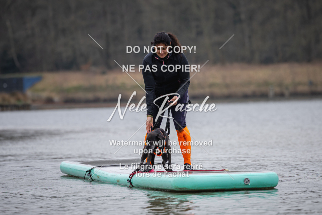 nelerasche_Hulsbeek_Sa1515-1600_221 | nelerasche