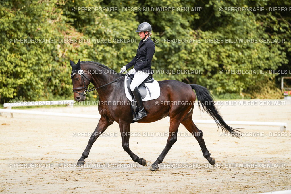 DSC01633 | Pferdegrafie