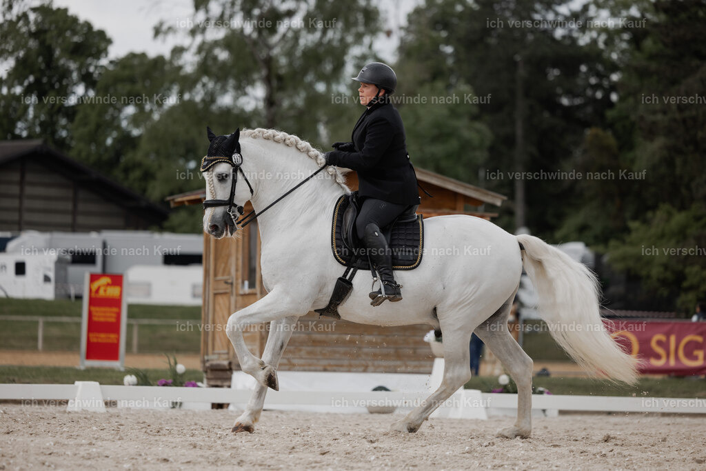 WE_DR_Stoib_307_PI2025_228 | Pferd International München 2025