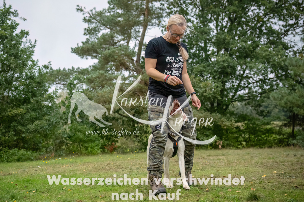 1225_ZZ91152-2-Bearbeitet | kk-dogfotos