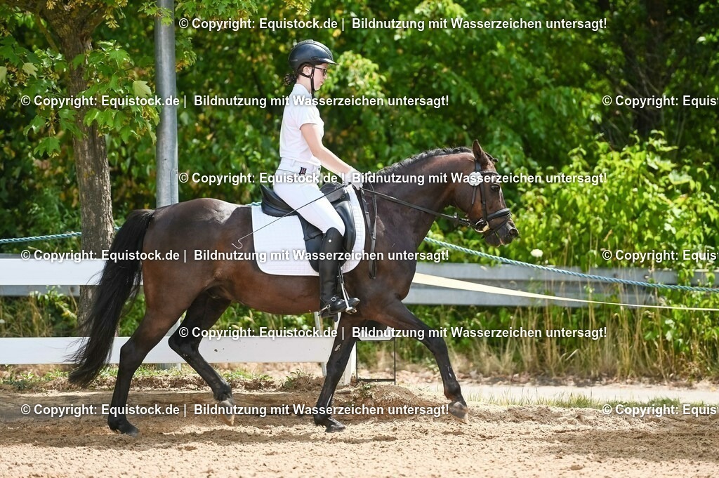 20230715_09_Dressur-WB_0209 | equistock