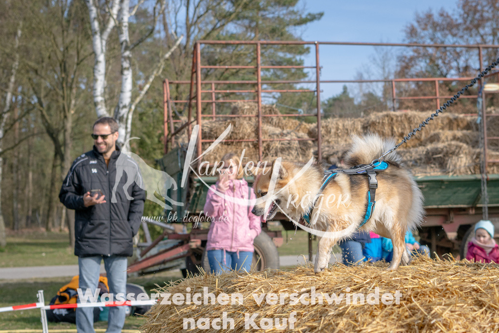 _ZZ92089 | kk-dogfotos