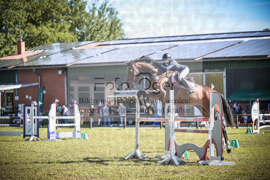 DOS_0407 | Entdecke hochwertige Reitturnierfotos von Foto Oger. Professionell, emotional und authentisch – jetzt Lieblingsmomente im Shop bestellen.Deutschlandweite Turnierfotografie. - Realisiert mit Pictrs.com