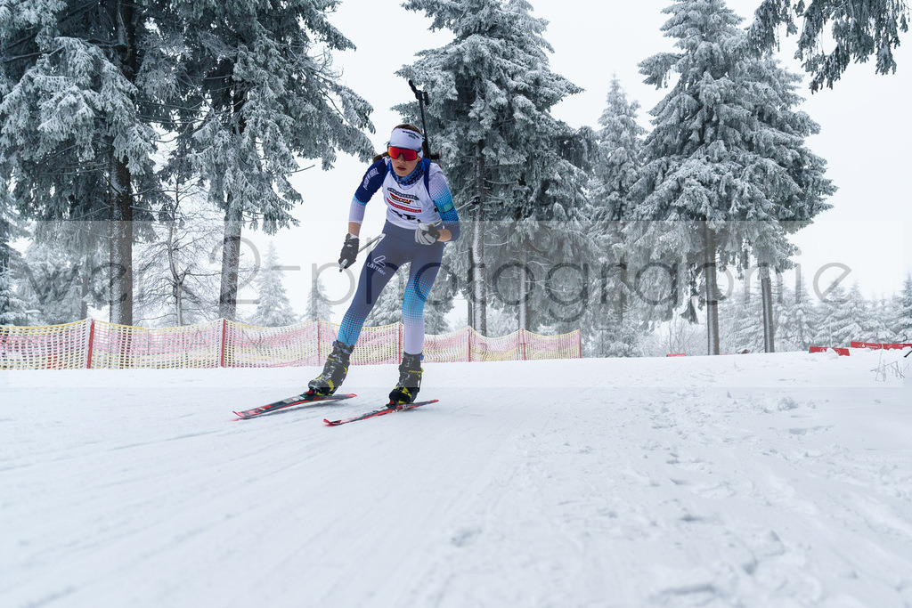 DP Oberwiesenthal | Alpencup/DP Deutschlandpokal in Oberwiesenthal am 15.-17.12.2023