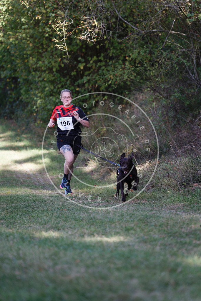 0L8A5674 | Hundefotografie, Tierfotograf, Pfotenfotografie, Fotoshooting Hund, Hunde Portrait, Hundesport, Hundeportraits, Heideshooting, Hunde, Sportfotograf, Hundefotograf, Turnierhundsport, THS,  - Realisiert mit Pictrs.com