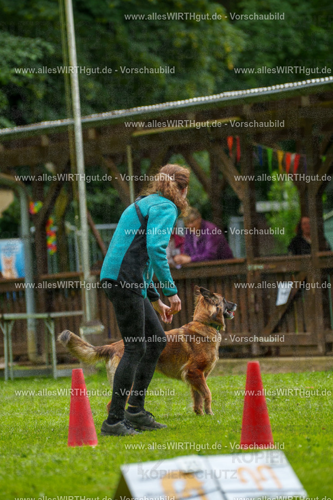 @allesWIRTHgut_Tierfotografie - www.allesWIRTHgut.de - 102138-7R508397 | Professionelle Tierfotografie in Mönchengladbach von Daniel Wirth (allesWIRTHgut). Liebevolle & natürliche Bilder von Hunden & Katzen für unvergessliche Erinnerungen.