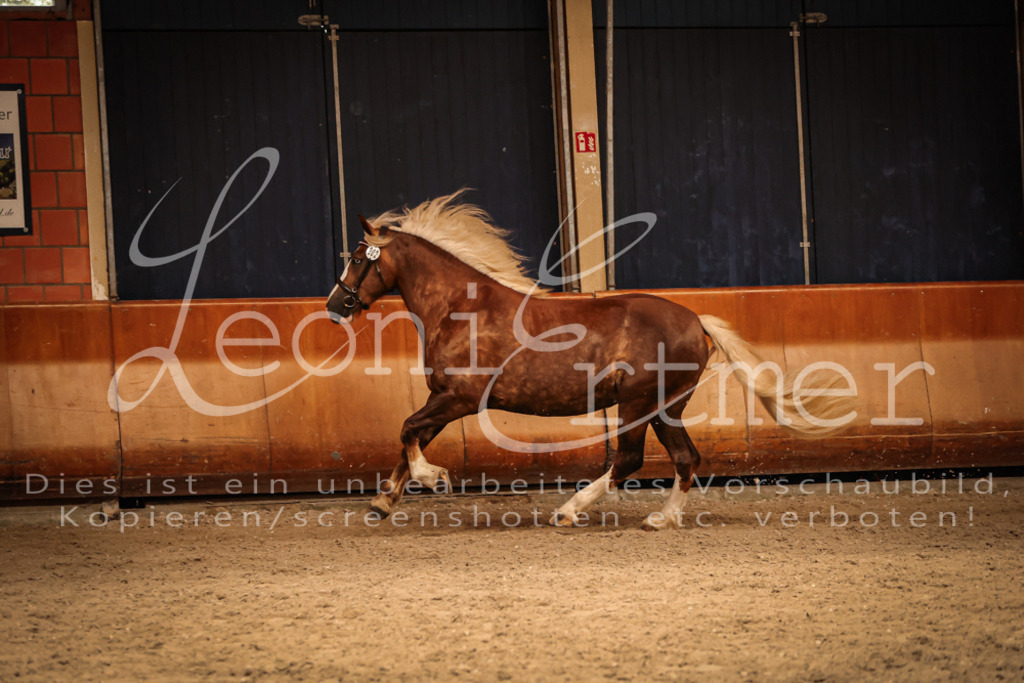 SaFL00466 | Leoni Ertmer Photography - Realisiert mit Pictrs.com