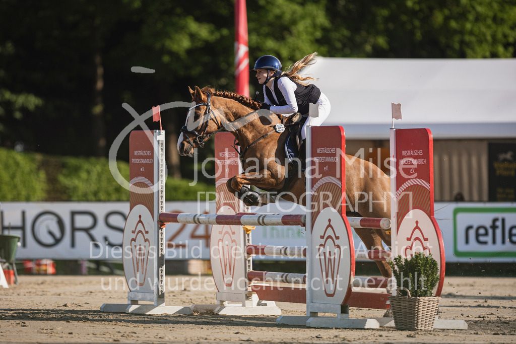 250501_MünsterHandorf_PonyTrophy-254 | Deine schönsten Turniermomente als professionelle Fotos! Entdecke hochwertige Pferdesport-Fotografie im Online-Shop. Jetzt Fotos finden & bestellen!