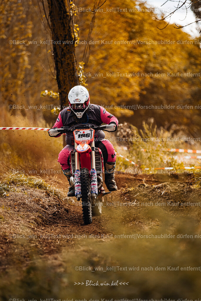 E68A2303 | blick_win_kel