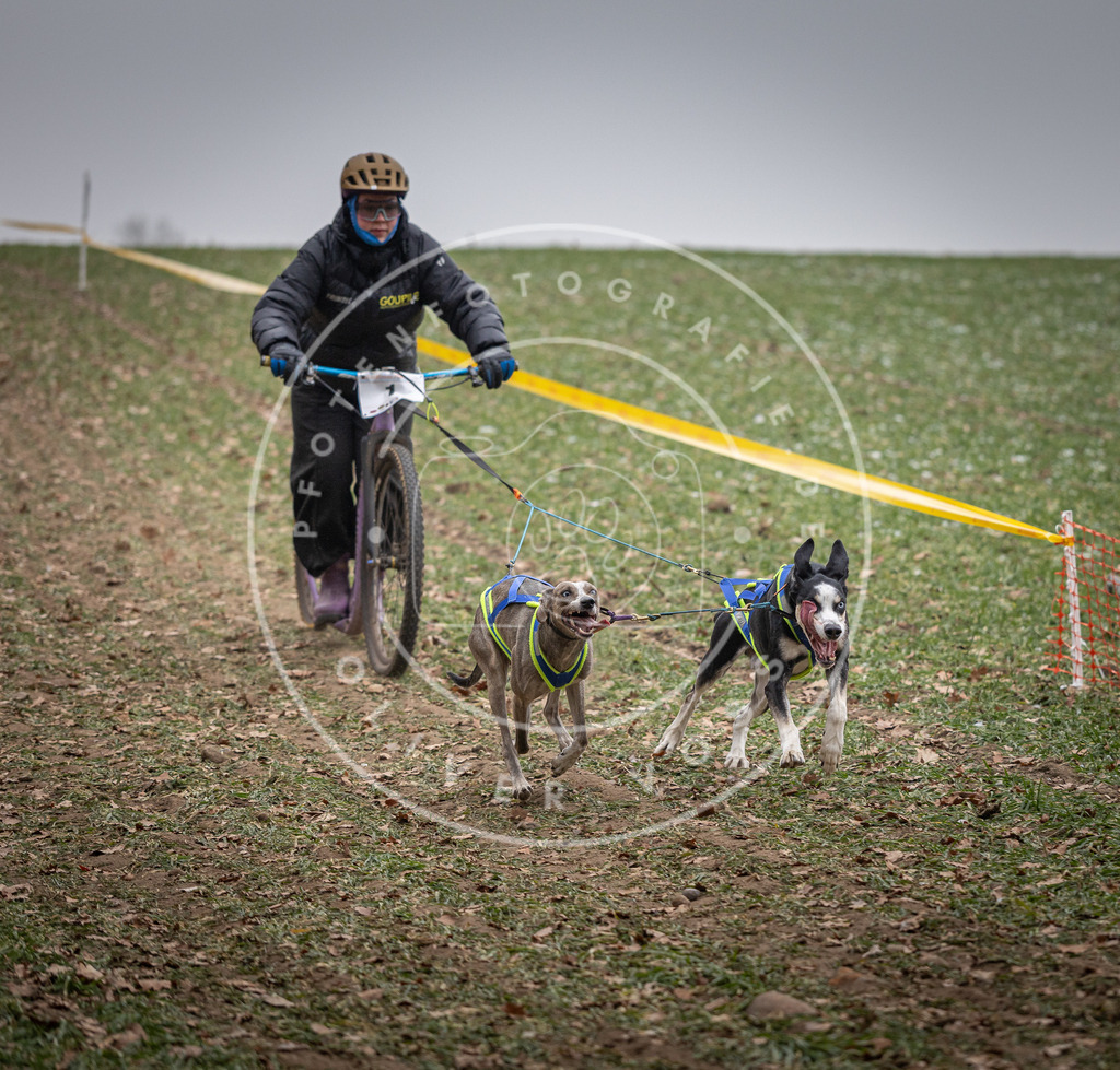 Pfotenfotografie_DV3A2127 | Hundefotografie, Tierfotograf, Pfotenfotografie, Fotoshooting Hund, Hunde Portrait, Hundesport, Hundeportraits, Heideshooting, Hunde, Sportfotograf, Hundefotograf, Turnierhundsport, THS,  - Realisiert mit Pictrs.com