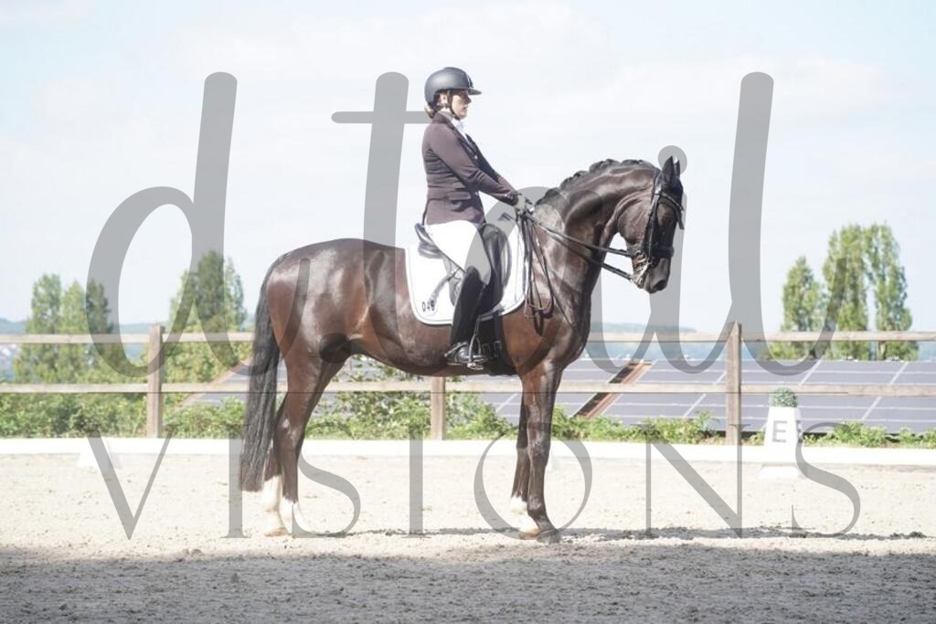 tgbhsonntag (630) | d.tail Visions - Shop - Realisiert mit Pictrs.com