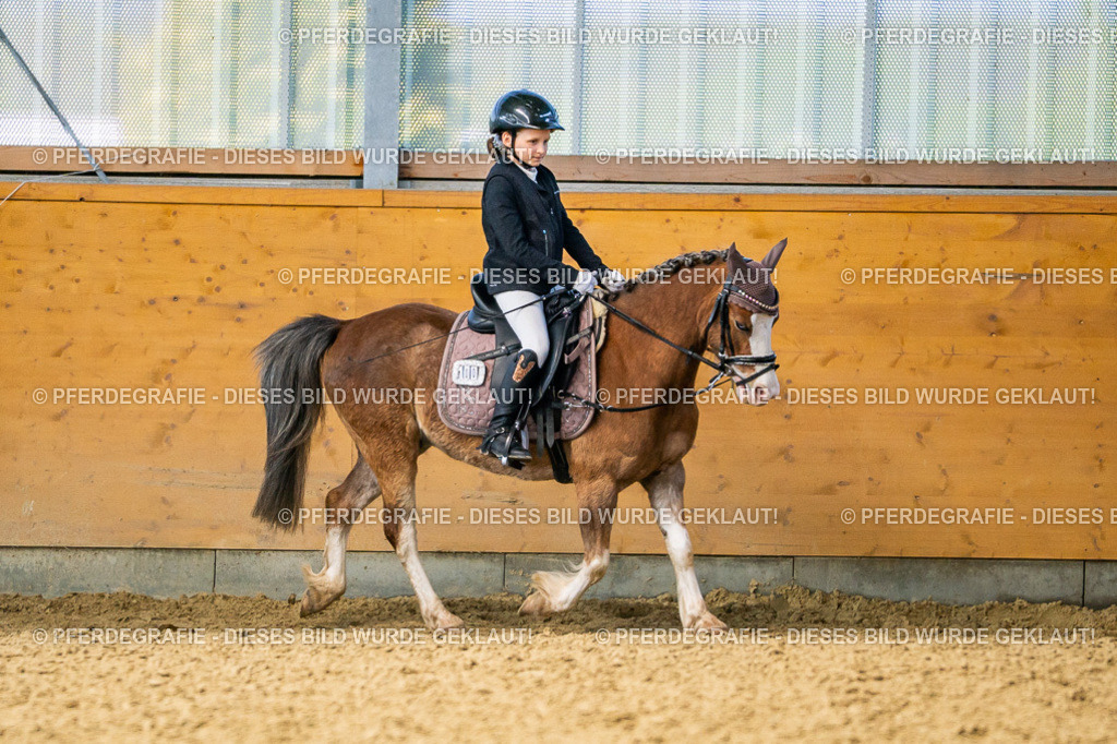 DSC02810 | Pferdegrafie