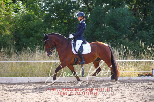 DKP45483 | Turniersportfotografie; Pferdefotografie; Dressurfotografie