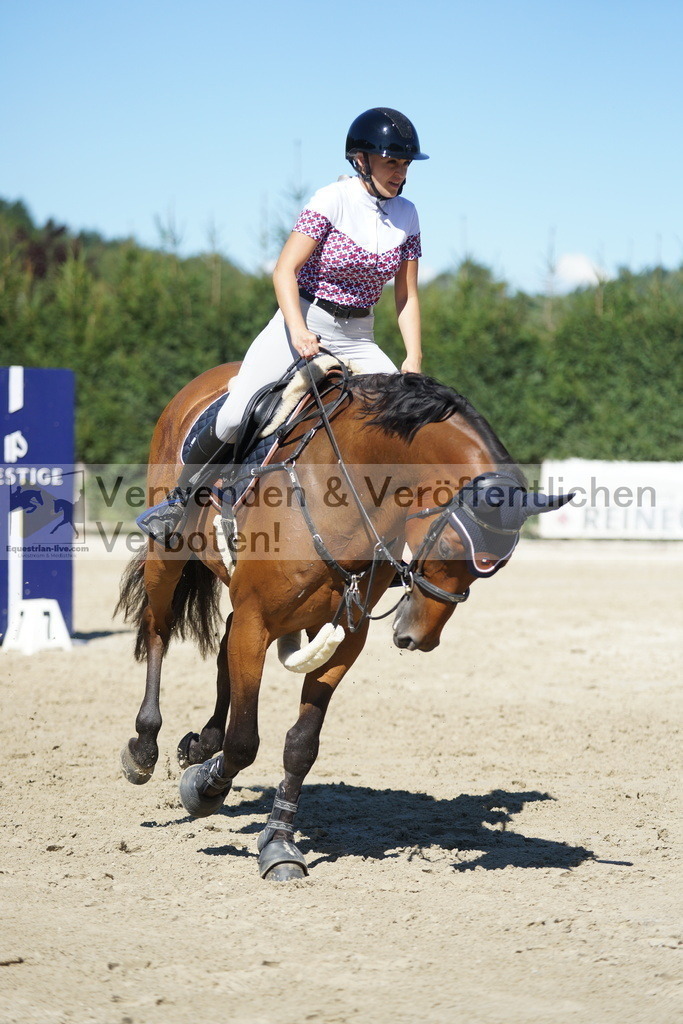 DSC08598 | equestrian-live-com