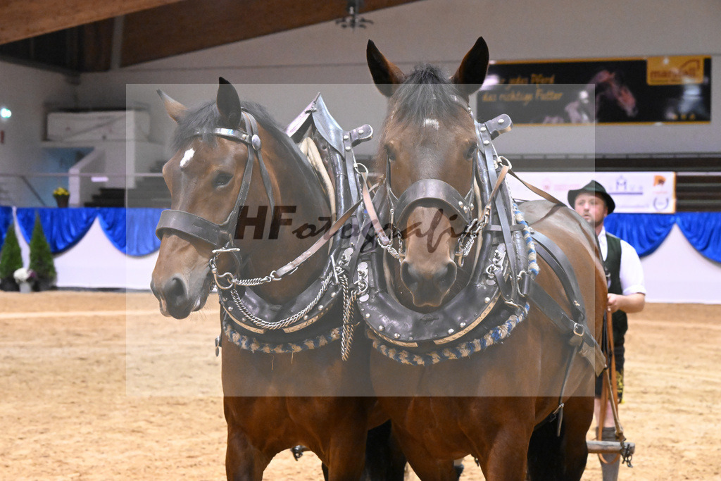 Schauprogramm_54222891 | hf-fotografie - Realisiert mit Pictrs.com