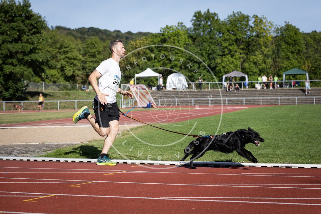 Pfotenfotografie_DV3A9731 | Hundefotografie, Tierfotograf, Pfotenfotografie, Fotoshooting Hund, Hunde Portrait, Hundesport, Hundeportraits, Heideshooting, Hunde, Sportfotograf, Hundefotograf, Turnierhundsport, THS,  - Realisiert mit Pictrs.com