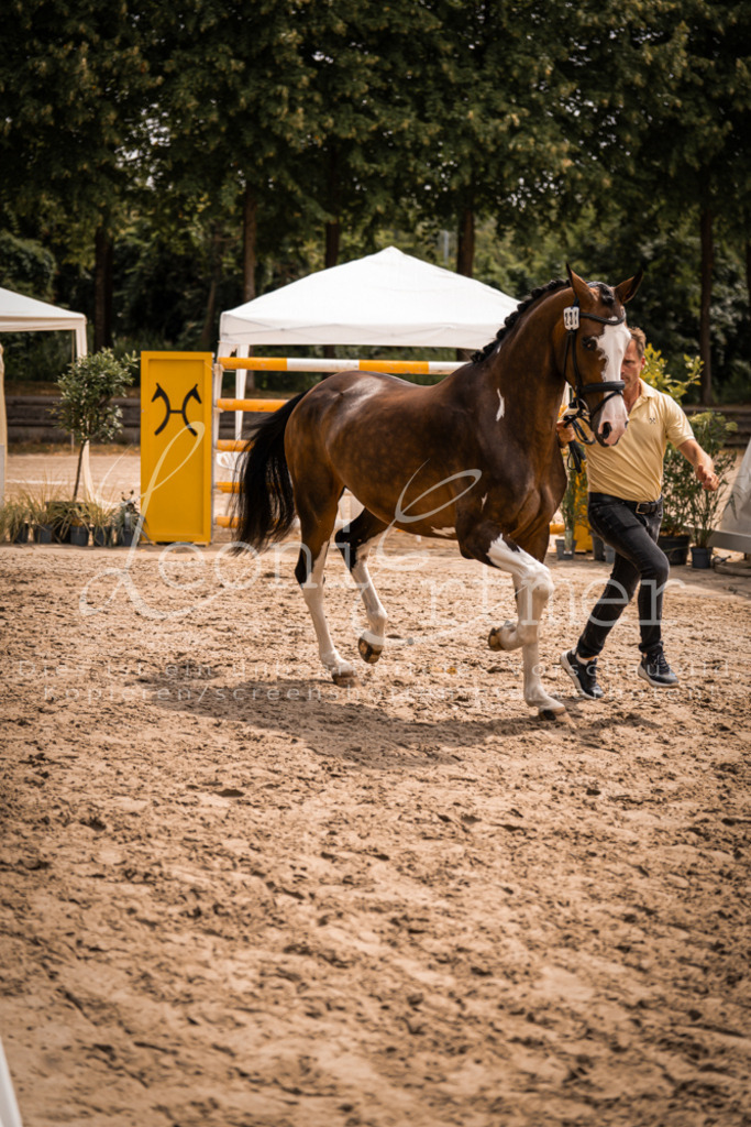 3.Fr00226 | Leoni Ertmer Photography - Realisiert mit Pictrs.com