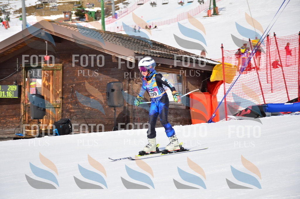 VR4_7093 | holidayphoto