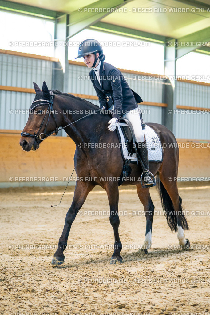 DSC06157 | Pferdegrafie