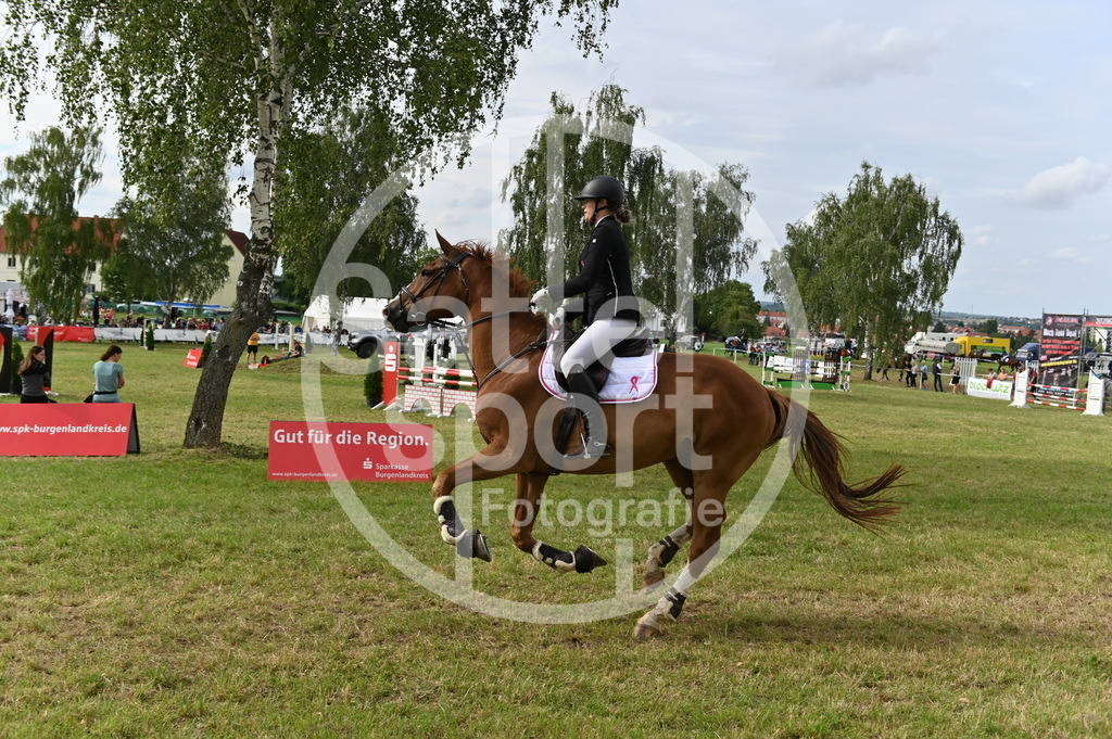 DSC_3664 | sattelsport - Realisiert mit Pictrs.com