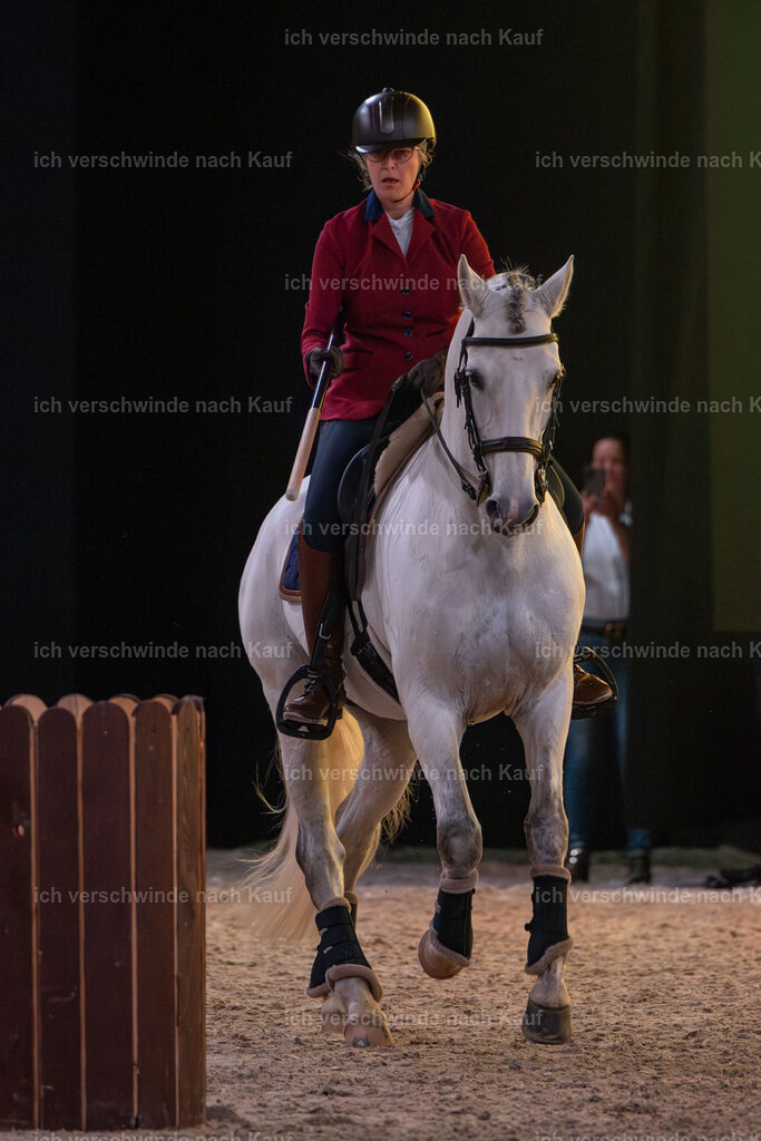 JoseraCup-110 | working equitationturnier fotograf videograf stoibphotography marixx film working equitation deutschland reitsport turnierfotografie eventfotografie equestrian events