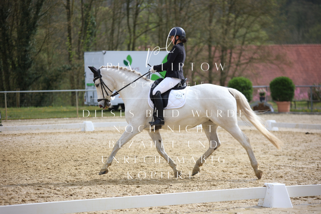 IMGT5441 | pl-fotografie