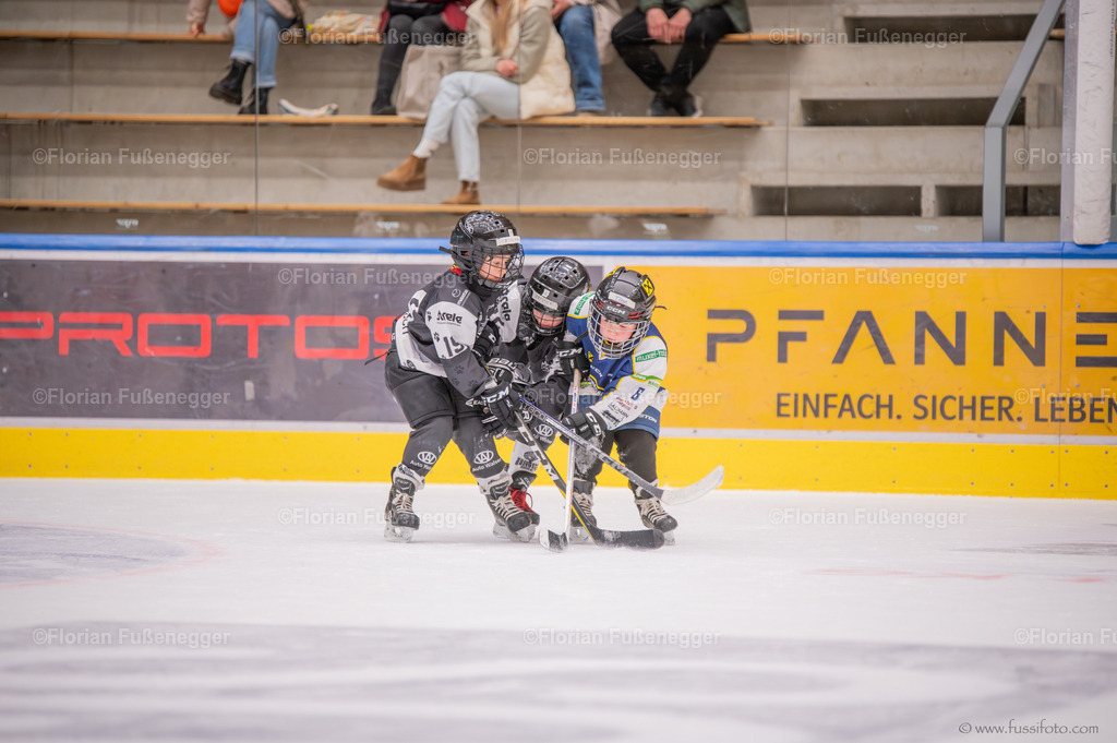 DSC_1441 | "Fussifoto.com – Ihr Ansprechpartner für hochwertige Fotografie! Entdecken Sie kreative Bilder und professionelle Dienstleistungen. Kontaktieren Sie uns für Ihre Projekte!"