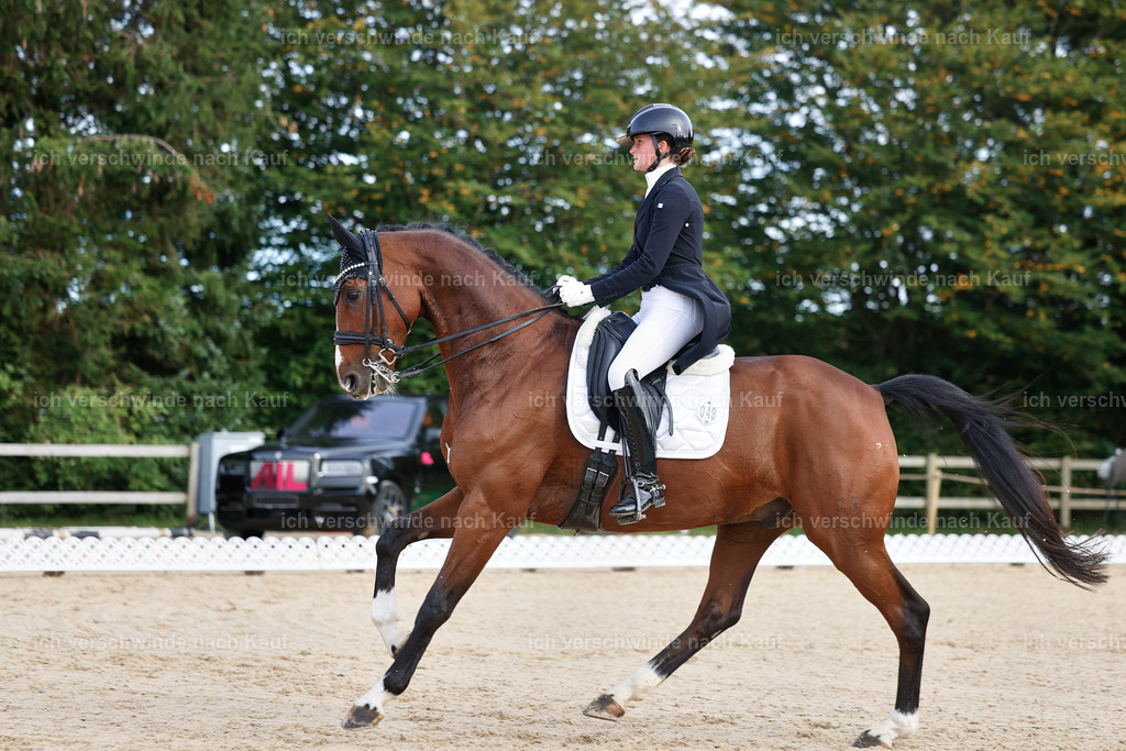 13-048-S___ -StoibPH-6971 | working equitationturnier fotograf videograf stoibphotography marixx film working equitation deutschland reitsport turnierfotografie eventfotografie equestrian events