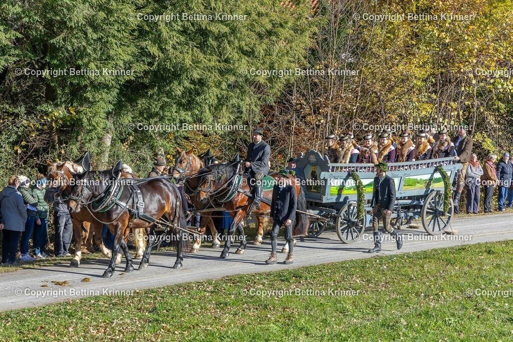 LBT25-500 | foto-bettina-krinner - Realisiert mit Pictrs.com