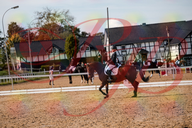 2026_10_03_Siefer-Hof_131021_Z63_72659521 | Professionelle Reitsport-, Turnier- und Eventfotografie von Robert Broda. Galerien mit ausgewählten und bearbeiteten Bildern direkt online ansehen und bestellen.