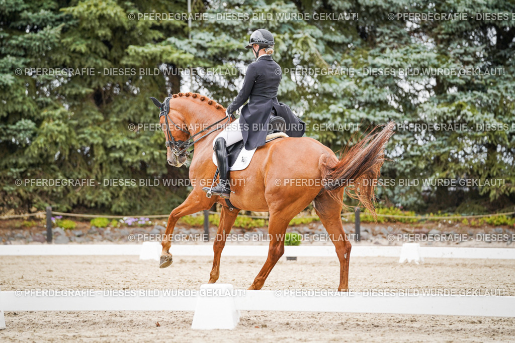 DSC05302 | Pferdegrafie