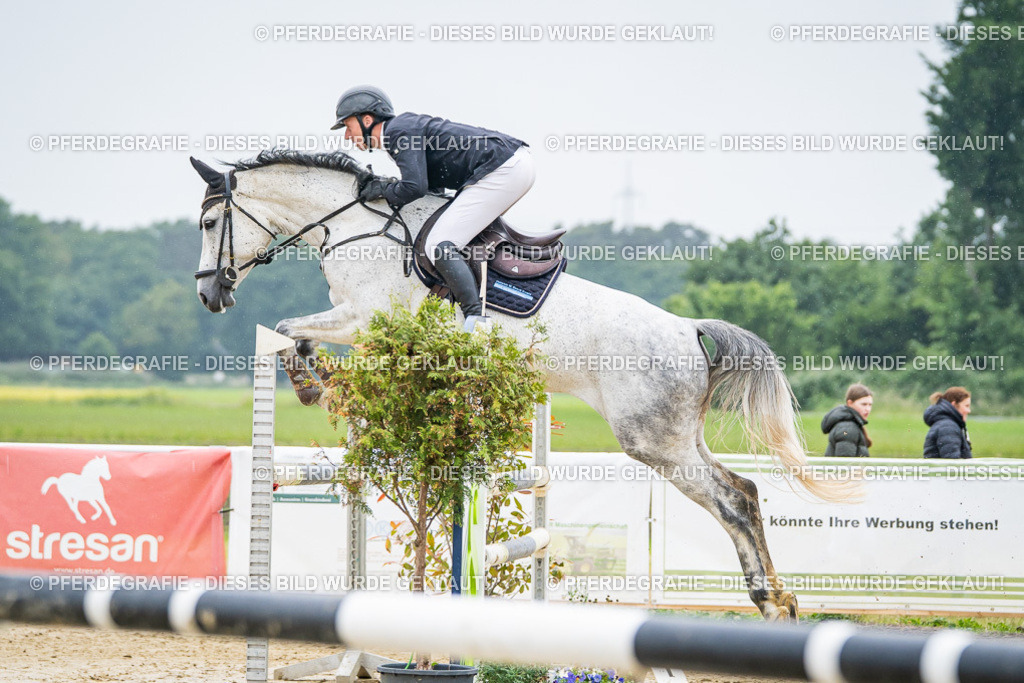 DSC01323 | Pferdegrafie